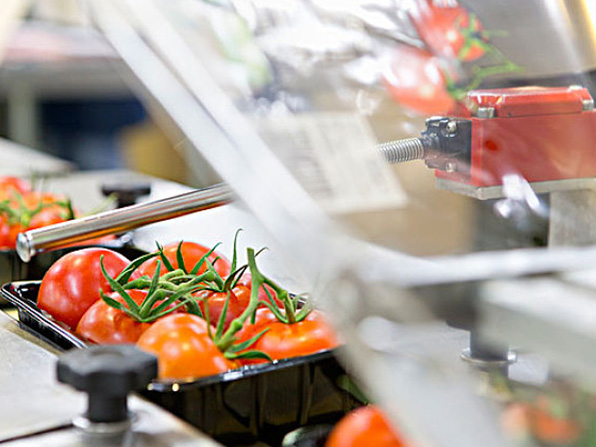 Floor Top Vacuum Packaging Machine