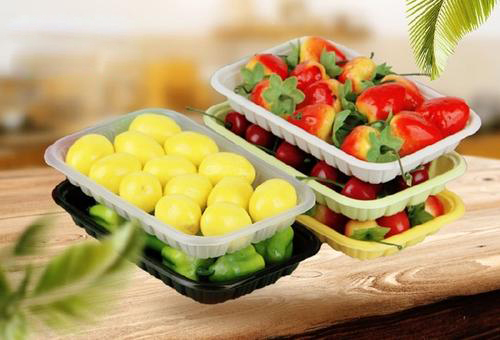 Double Vacuum Tray Sealer